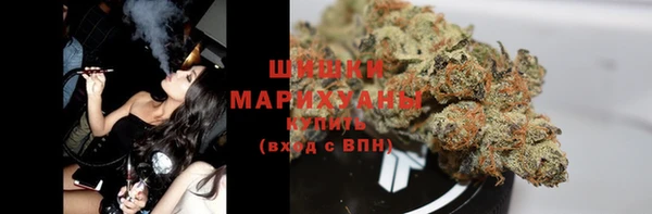 ПСИЛОЦИБИНОВЫЕ ГРИБЫ Белоозёрский