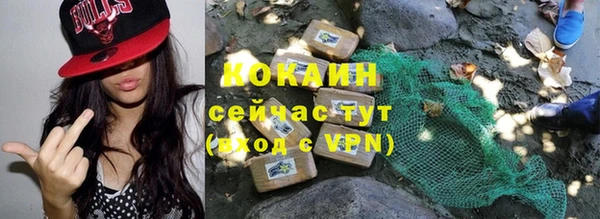 молекула духа Белокуриха
