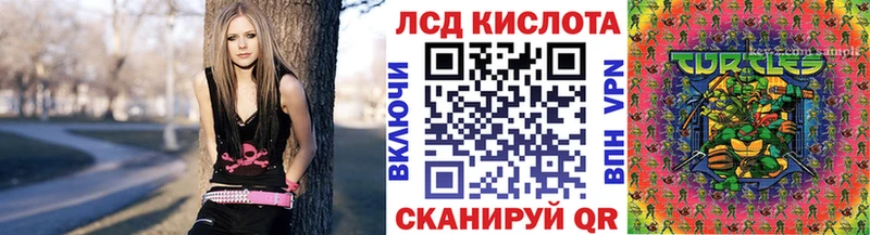 дарнет шоп  Большой Камень  Марки N-bome 1500мкг 