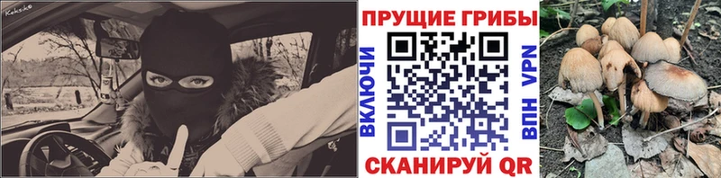 Галлюциногенные грибы Magic Shrooms  хочу наркоту  Большой Камень 